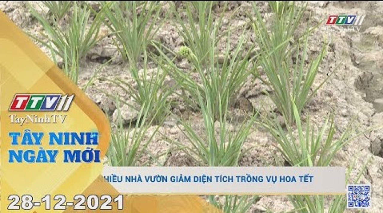 TÂY NINH NGÀY MỚI 28/12/2021 | Tin tức hôm nay | TayNinhTV