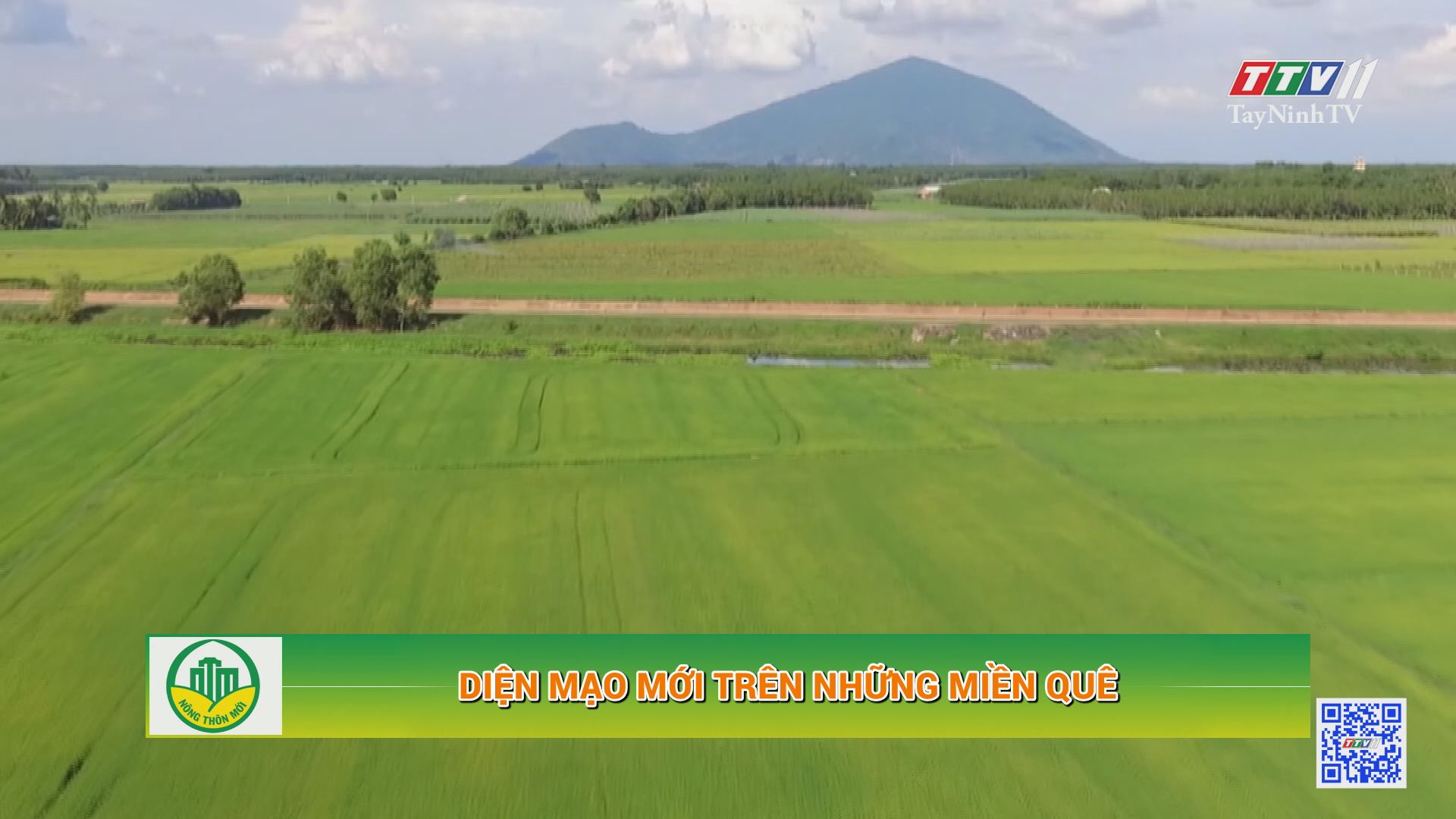 Diện mạo mới trên những miền quê | Tây Ninh xây dựng nông thôn mới | TayNinhTV