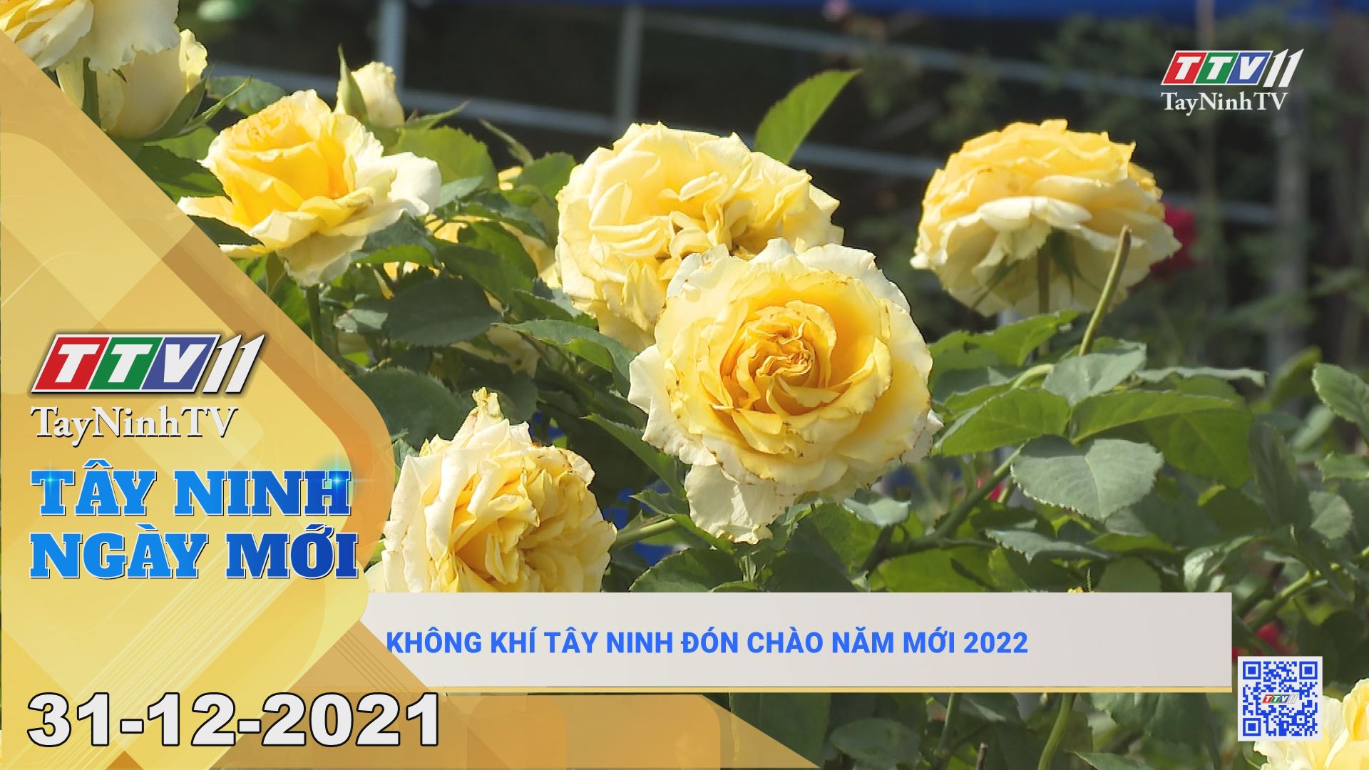 TÂY NINH NGÀY MỚI 31/12/2021| Tin tức hôm nay | TayNinhTV