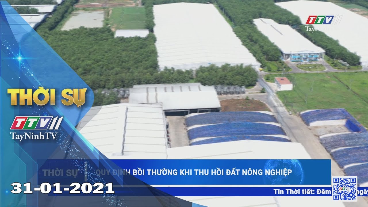 Thời sự Tây Ninh 31-01-2021 | Tin tức hôm nay | TayNinhTV 