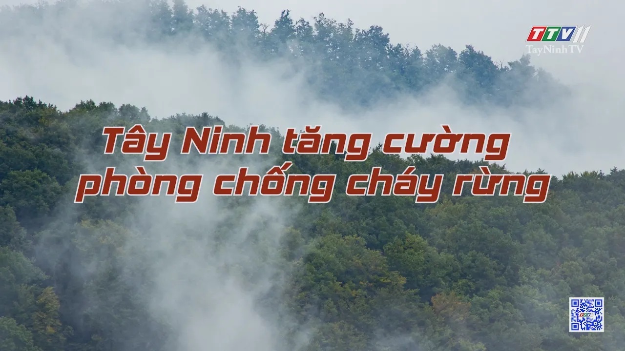 Tây Ninh tăng cường phòng chống cháy rừng | NÔNG NGHIỆP TÂY NINH | TayNinhTV
