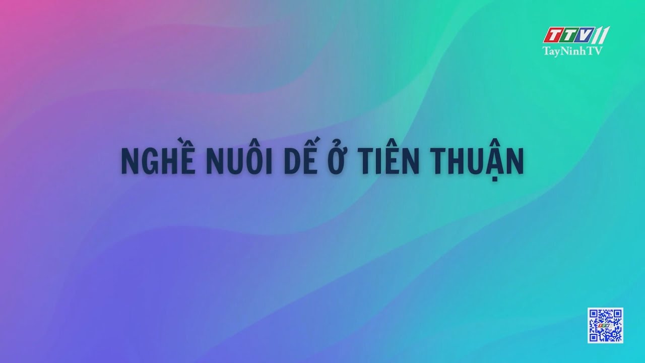 Nghề nuôi dế ở Tiên Thuận | NÔNG NGHIỆP TÂY NINH | TayNinhTV