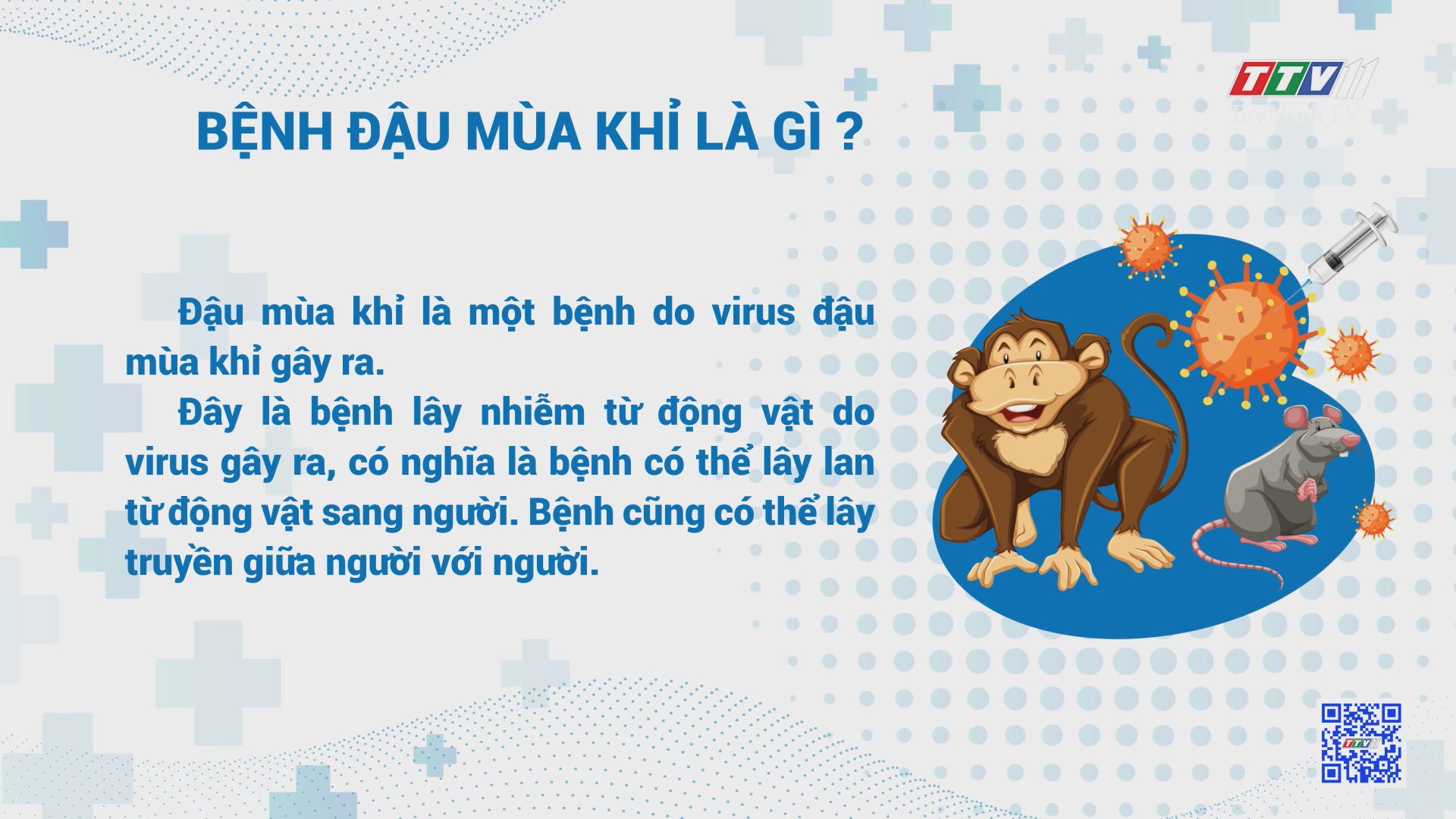 Thông tin và biện pháp phòng ngừa bệnh đậu mùa khỉ | Sức khỏe cho mọi người | TayNinhTV